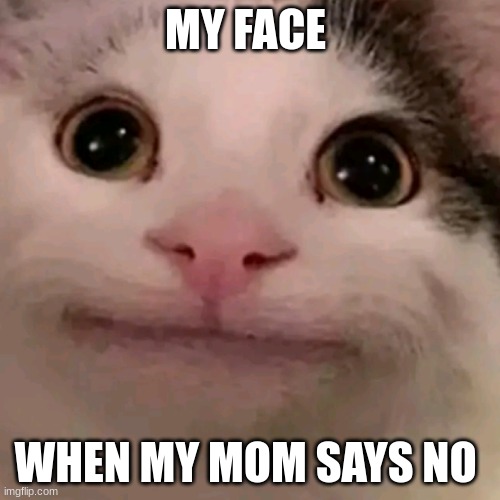 Beluga | MY FACE; WHEN MY MOM SAYS NO | image tagged in beluga | made w/ Imgflip meme maker