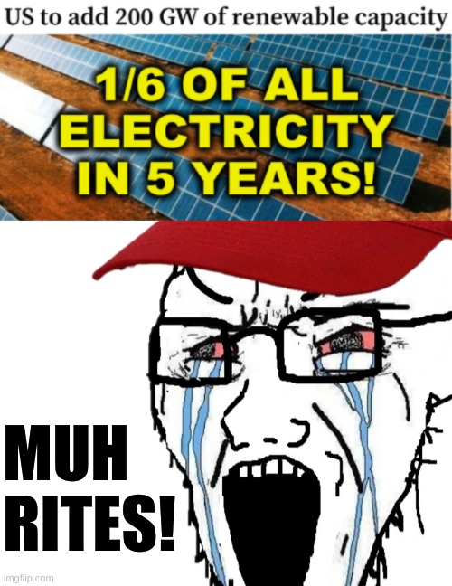 solar is cheaper than fossil & nuclear | MUH
RITES! | image tagged in conservative logic,solar power,renewable energy,fossil fuel,lowest cost energy,memes | made w/ Imgflip meme maker