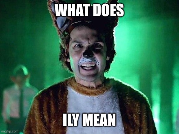 What does the fox say? | WHAT DOES; ILY MEAN | image tagged in what does the fox say | made w/ Imgflip meme maker