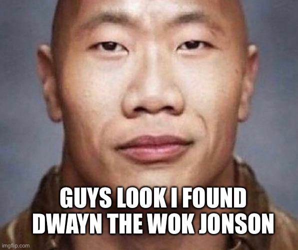 Da wok | GUYS LOOK I FOUND DWAYN THE WOK JONSON | image tagged in wok | made w/ Imgflip meme maker