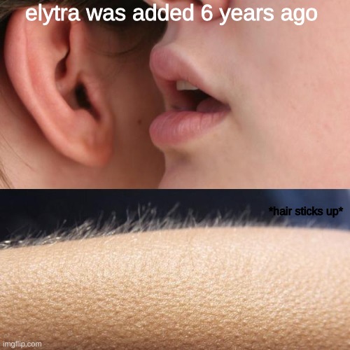 Whisper and Goosebumps | elytra was added 6 years ago; *hair sticks up* | image tagged in whisper and goosebumps | made w/ Imgflip meme maker