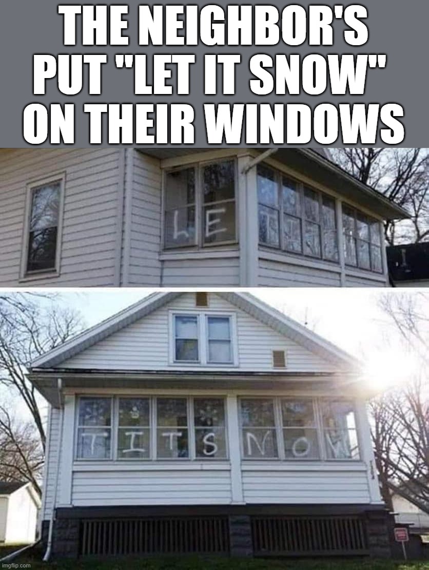 Let it snow redefined | THE NEIGHBOR'S PUT "LET IT SNOW" 
ON THEIR WINDOWS | image tagged in snow | made w/ Imgflip meme maker
