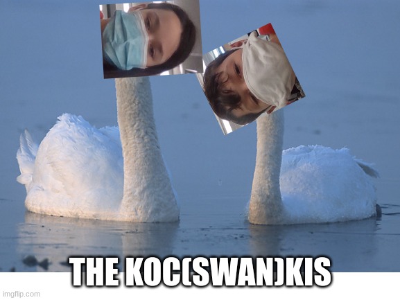 Lol | THE KOC(SWAN)KIS | image tagged in bruh moment | made w/ Imgflip meme maker