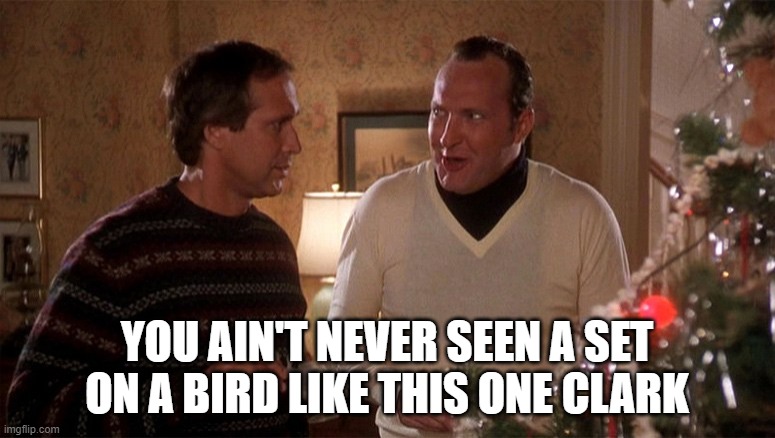 Cousin Eddie | YOU AIN'T NEVER SEEN A SET ON A BIRD LIKE THIS ONE CLARK | image tagged in cousin eddie | made w/ Imgflip meme maker