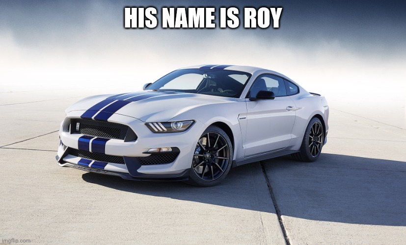 2015 Ford Mustang GT350 | HIS NAME IS ROY | image tagged in 2015 ford mustang gt350 | made w/ Imgflip meme maker