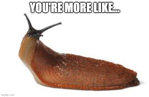 slug life | YOU'RE MORE LIKE... | image tagged in slug life | made w/ Imgflip meme maker