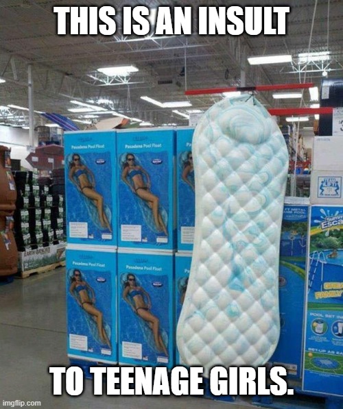 THIS IS AN INSULT; TO TEENAGE GIRLS. | made w/ Imgflip meme maker