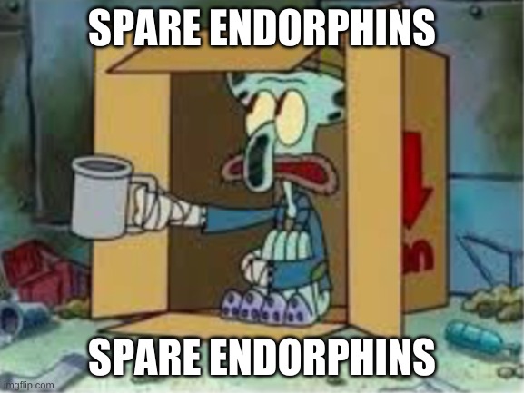 spare coochie |  SPARE ENDORPHINS; SPARE ENDORPHINS | image tagged in spare coochie | made w/ Imgflip meme maker