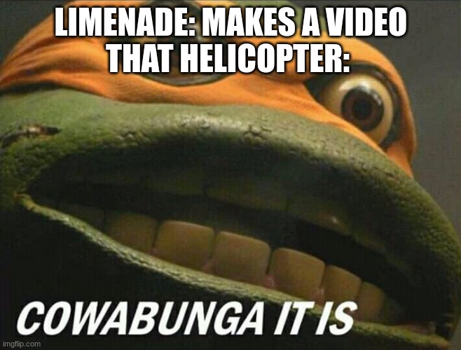 Cowabunga it is | LIMENADE: MAKES A VIDEO
THAT HELICOPTER: | image tagged in cowabunga it is | made w/ Imgflip meme maker