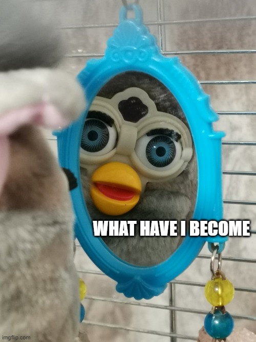 What have I become |  WHAT HAVE I BECOME | image tagged in look at yourself,what have i done,mirror,furby | made w/ Imgflip meme maker