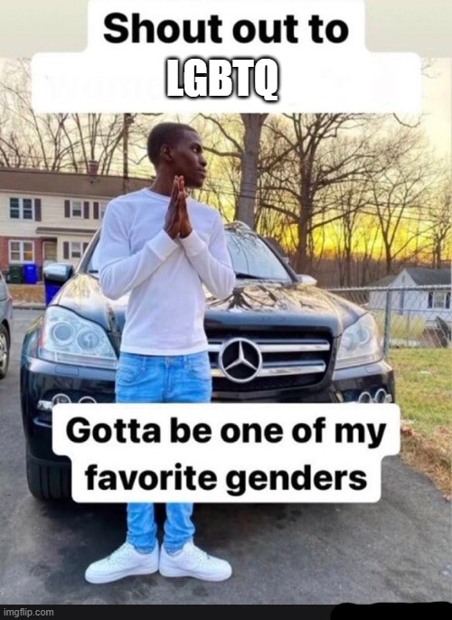 Idk, some random temp I found (of course this makes no sense) | LGBTQ | image tagged in gotta be one of my favorite genders | made w/ Imgflip meme maker