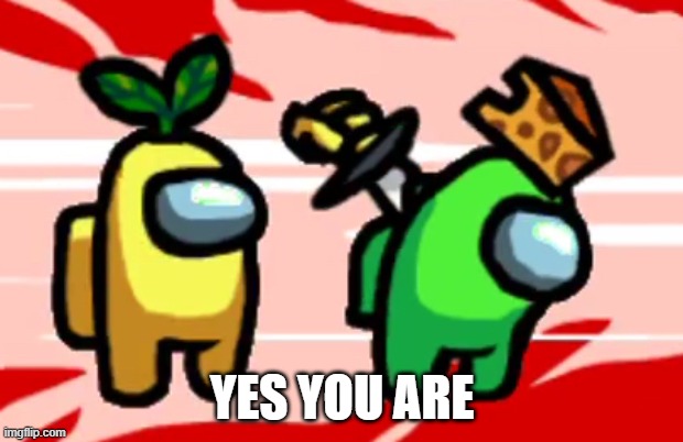 Among Us Stab | YES YOU ARE | image tagged in among us stab | made w/ Imgflip meme maker