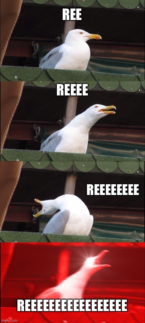 Inhaling Seagull Meme | REE; REEEE; REEEEEEEE; REEEEEEEEEEEEEEEEE | image tagged in memes,inhaling seagull | made w/ Imgflip meme maker