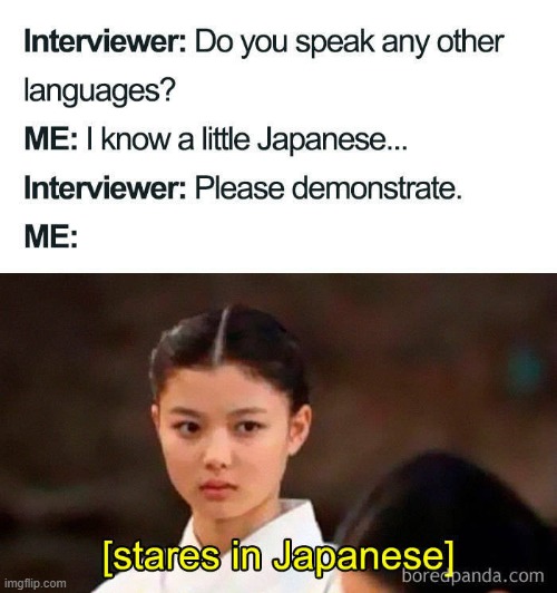 yeah! im bilangual now! | image tagged in japanese,job interview,staring in japanese,staring in another language | made w/ Imgflip meme maker
