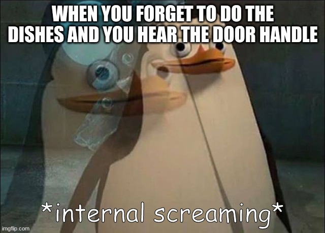 the dishes | WHEN YOU FORGET TO DO THE DISHES AND YOU HEAR THE DOOR HANDLE | image tagged in private internal screaming | made w/ Imgflip meme maker