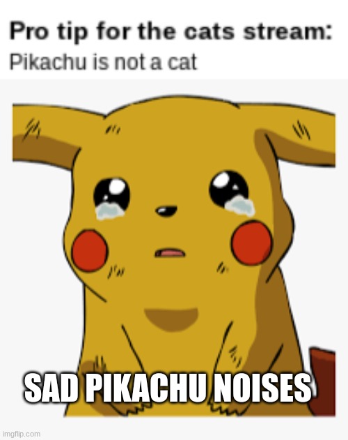 Pikachu is the best cat | SAD PIKACHU NOISES | image tagged in sad pikachu noises,cats,oh wow are you actually reading these tags,sad pikachu | made w/ Imgflip meme maker