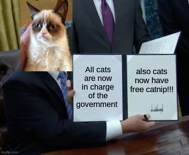 CAT'S ARE IN CHARGE NOW!! | All cats are now in charge of the government; also cats now have free catnip!!! | image tagged in memes,trump bill signing,grumpy cat,cat,funny,cats | made w/ Imgflip meme maker