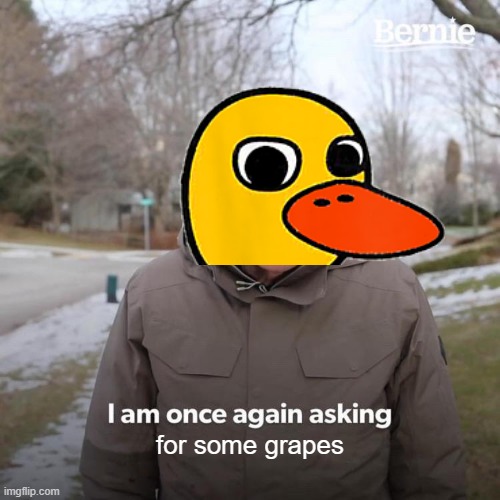 Bernie I Am Once Again Asking For Your Support | for some grapes | image tagged in memes,bernie i am once again asking for your support | made w/ Imgflip meme maker