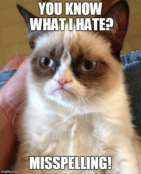 Grumpy Cat Meme | YOU KNOW WHAT I HATE? MISSPELLING! | image tagged in memes,grumpy cat | made w/ Imgflip meme maker