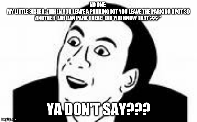 No Way!! | NO ONE: 
MY LITTLE SISTER: "WHEN YOU LEAVE A PARKING LOT YOU LEAVE THE PARKING SPOT SO ANOTHER CAR CAN PARK THERE! DID YOU KNOW THAT ???"; YA DON'T SAY??? | image tagged in ya dont say | made w/ Imgflip meme maker