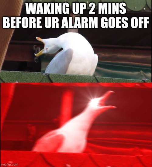 Screaming bird | WAKING UP 2 MINS BEFORE UR ALARM GOES OFF | image tagged in screaming bird | made w/ Imgflip meme maker