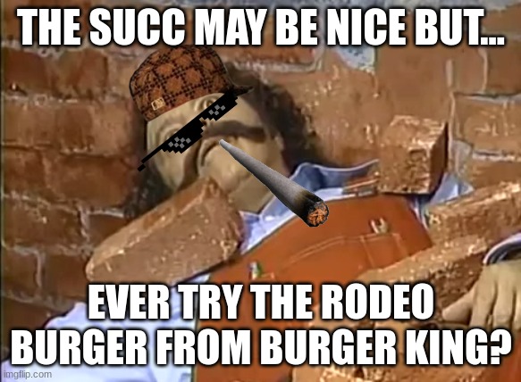 E | THE SUCC MAY BE NICE BUT... EVER TRY THE RODEO BURGER FROM BURGER KING? | image tagged in succ | made w/ Imgflip meme maker