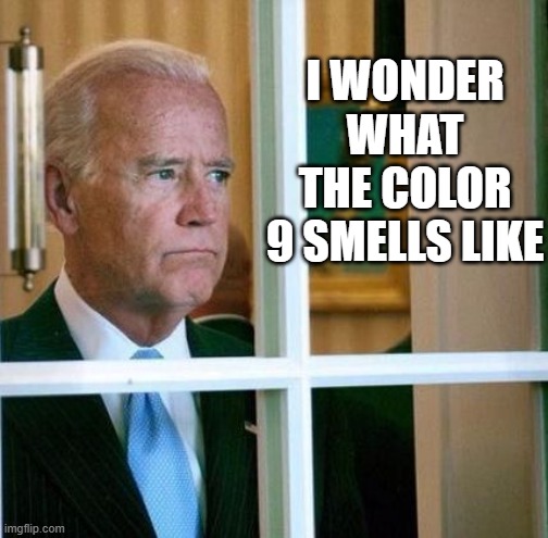 Sad Joe Biden | I WONDER WHAT THE COLOR 9 SMELLS LIKE | image tagged in sad joe biden | made w/ Imgflip meme maker