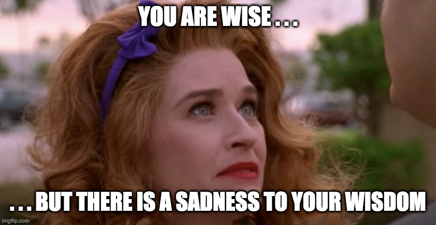 You are wise, but there is a sadness to your wisdom | YOU ARE WISE . . . . . . BUT THERE IS A SADNESS TO YOUR WISDOM | image tagged in wise,coneheads,funny memes | made w/ Imgflip meme maker