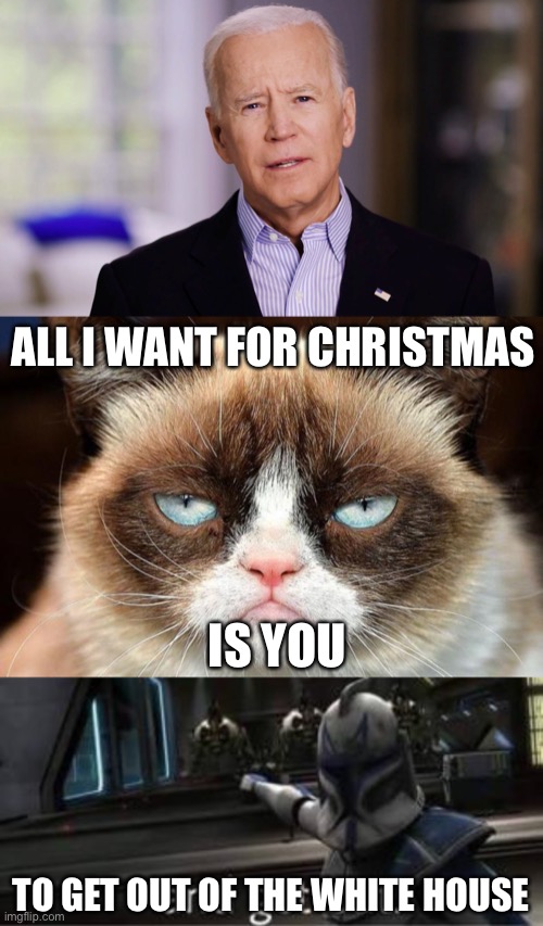 lets go brandon | ALL I WANT FOR CHRISTMAS; IS YOU; TO GET OUT OF THE WHITE HOUSE | image tagged in joe biden 2020,grumpy cat not amused,take this shit and get out,funny,grumpy cat,all i want for christmas is you | made w/ Imgflip meme maker