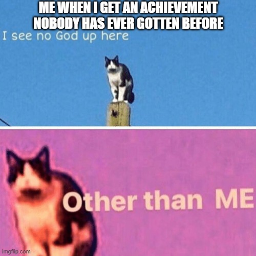 Let's pretend this happened to me once | ME WHEN I GET AN ACHIEVEMENT NOBODY HAS EVER GOTTEN BEFORE | image tagged in hail pole cat | made w/ Imgflip meme maker