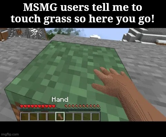 Happy now? | MSMG users tell me to touch grass so here you go! | image tagged in hand touching minecraft grass block | made w/ Imgflip meme maker