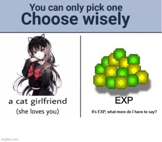 What should I choose? | EXP; It's EXP, what more do I have to say? | image tagged in memes | made w/ Imgflip meme maker