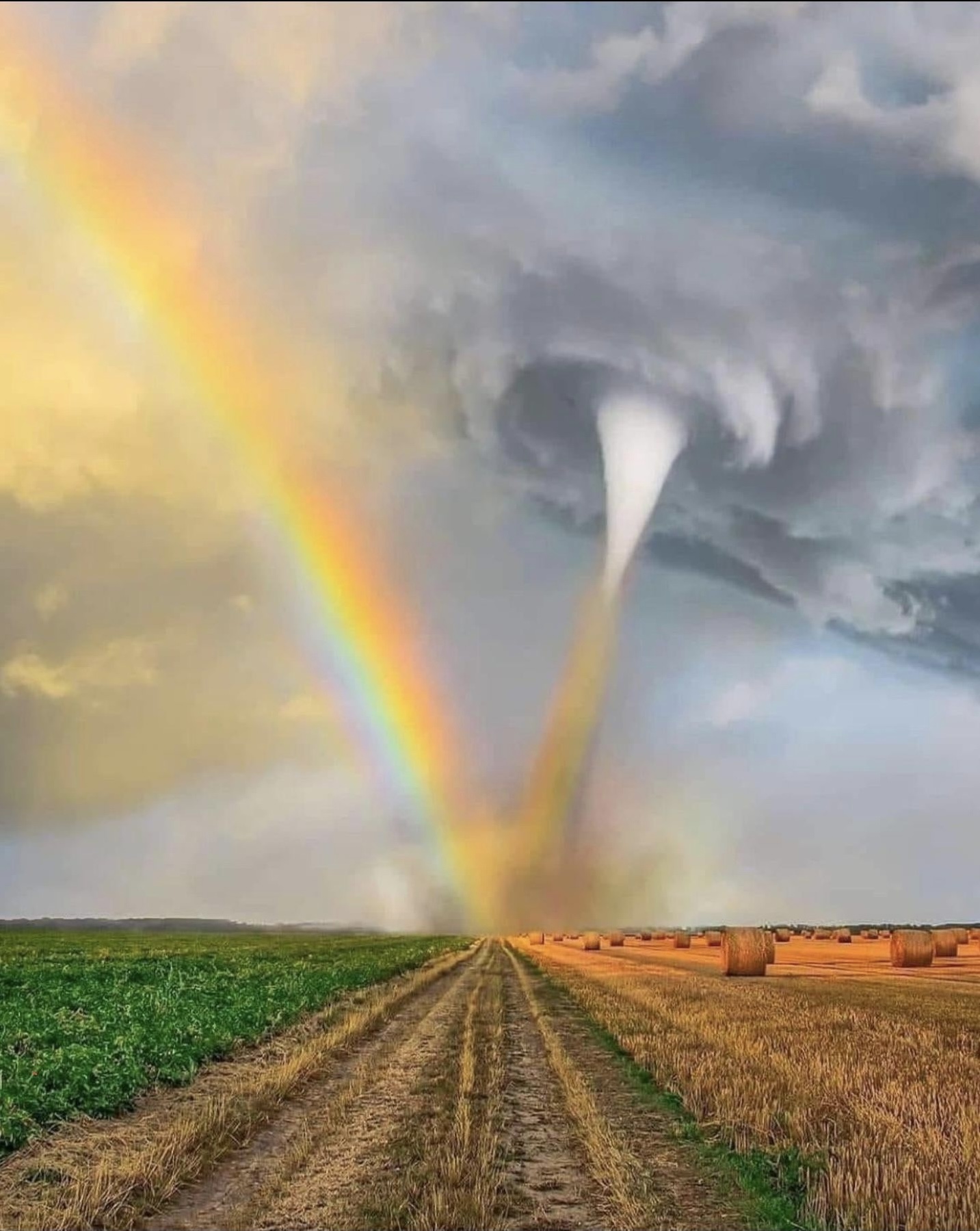 Rainbow vs. Tornado Blank Meme Template