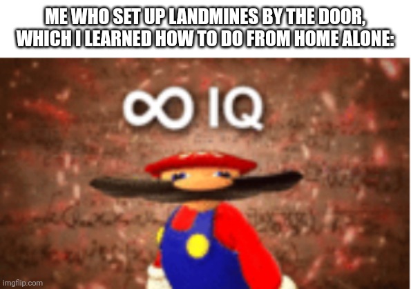 Infinite IQ | ME WHO SET UP LANDMINES BY THE DOOR, WHICH I LEARNED HOW TO DO FROM HOME ALONE: | image tagged in infinite iq | made w/ Imgflip meme maker