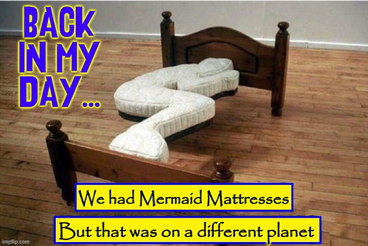 Weird Mattresses | BACK IN MY DAY... But that was on a different planet We had Mermaid Mattresses | image tagged in vince vance,back in my day,memes,mattresses,alien,mermaids | made w/ Imgflip meme maker