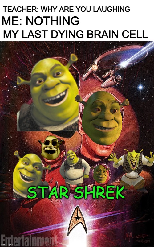 My last dying brain cell | TEACHER: WHY ARE YOU LAUGHING; ME: NOTHING; MY LAST DYING BRAIN CELL; STAR SHREK | image tagged in shrek,star trek | made w/ Imgflip meme maker