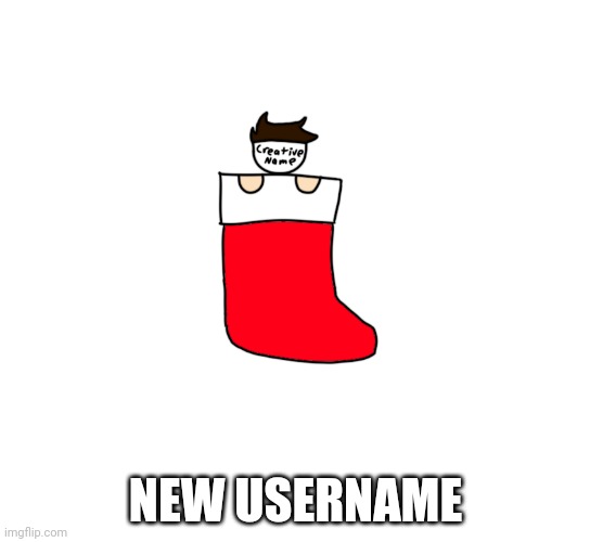 I had to | NEW USERNAME | image tagged in creative in a stocking | made w/ Imgflip meme maker
