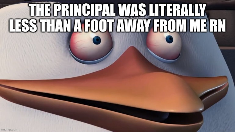 *hyperventillation* | THE PRINCIPAL WAS LITERALLY LESS THAN A FOOT AWAY FROM ME RN | made w/ Imgflip meme maker
