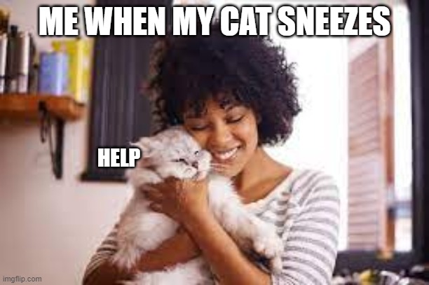 but for real though | ME WHEN MY CAT SNEEZES; HELP | image tagged in cats | made w/ Imgflip meme maker