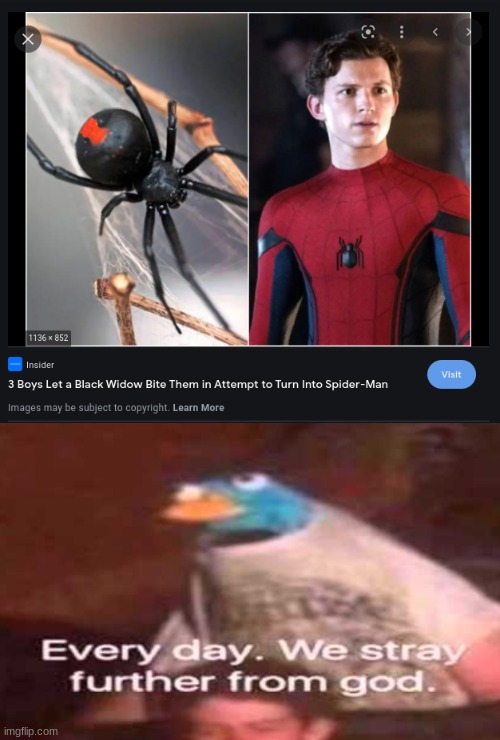 image tagged in everyday we stray further from god,spiderman,black widow,memes,funny memes,spiders | made w/ Imgflip meme maker