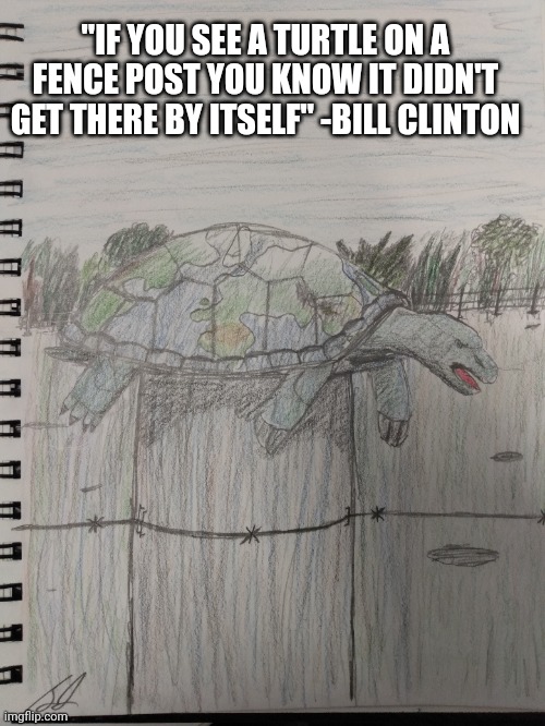 I drew a turtle | "IF YOU SEE A TURTLE ON A FENCE POST YOU KNOW IT DIDN'T GET THERE BY ITSELF" -BILL CLINTON | made w/ Imgflip meme maker