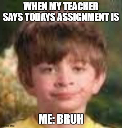 Relatable | WHEN MY TEACHER SAYS TODAYS ASSIGNMENT IS; ME: BRUH | image tagged in bruh | made w/ Imgflip meme maker