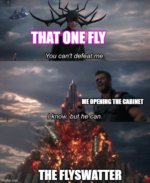 fly | THAT ONE FLY; ME OPENING THE CABINET; THE FLYSWATTER | image tagged in you can't defeat me,bugsbelike | made w/ Imgflip meme maker