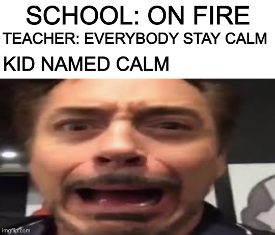 Tony Stark Screaming | SCHOOL: ON FIRE; TEACHER: EVERYBODY STAY CALM; KID NAMED CALM | image tagged in tony stark screaming | made w/ Imgflip meme maker