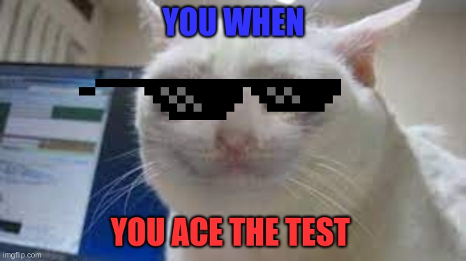 Cool Cat testing | YOU WHEN; YOU ACE THE TEST | image tagged in funny memes | made w/ Imgflip meme maker