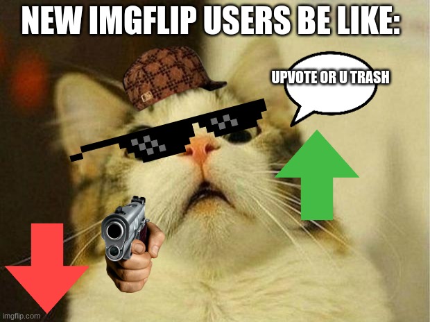 New Imgflip users | NEW IMGFLIP USERS BE LIKE:; UPVOTE OR U TRASH | image tagged in memes,scared cat | made w/ Imgflip meme maker