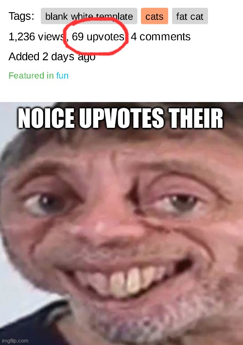 Perfect | NOICE UPVOTES THEIR | image tagged in noice | made w/ Imgflip meme maker
