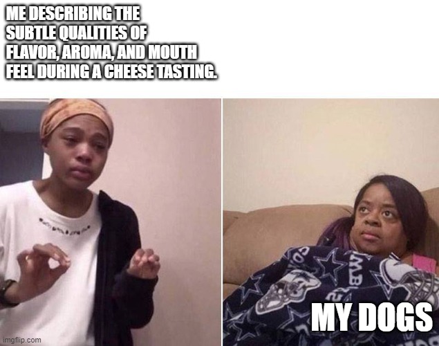 Dog cheese | ME DESCRIBING THE SUBTLE QUALITIES OF FLAVOR, AROMA, AND MOUTH FEEL DURING A CHEESE TASTING. MY DOGS | image tagged in lecturing mom | made w/ Imgflip meme maker