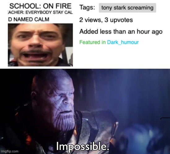 impossible | image tagged in thanos impossible | made w/ Imgflip meme maker