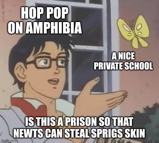 watch the show you fools watch the stinkin show | HOP POP ON AMPHIBIA; A NICE PRIVATE SCHOOL; IS THIS A PRISON SO THAT NEWTS CAN STEAL SPRIGS SKIN | image tagged in memes,is this a pigeon | made w/ Imgflip meme maker